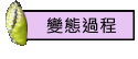 變態過程